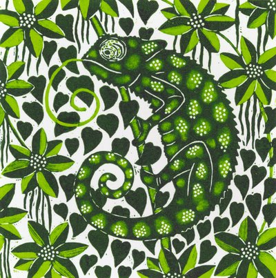 Chameleon by Nat Morley